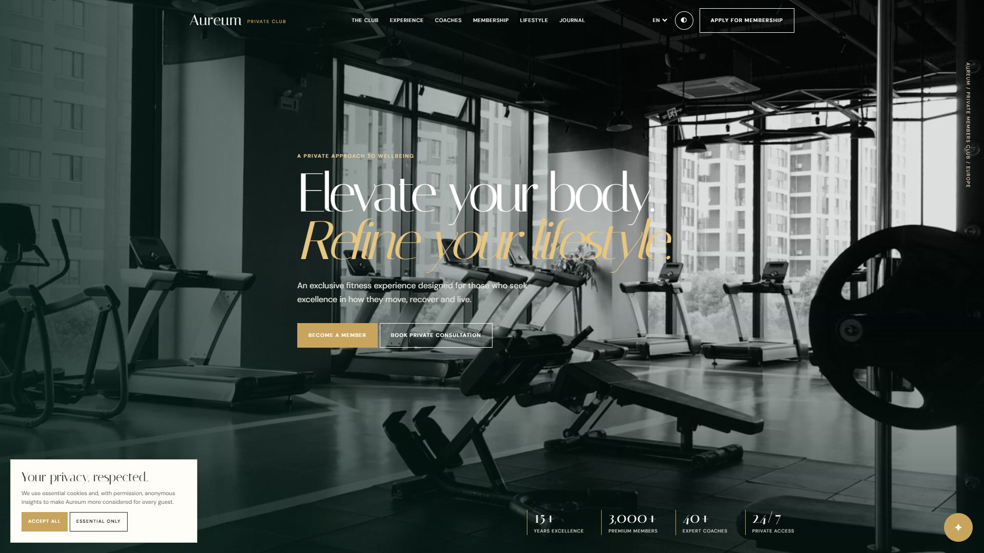 Vitality Wellness & Movement — Website Template